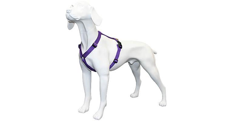 Haqihana multicolor hot sale dog harness